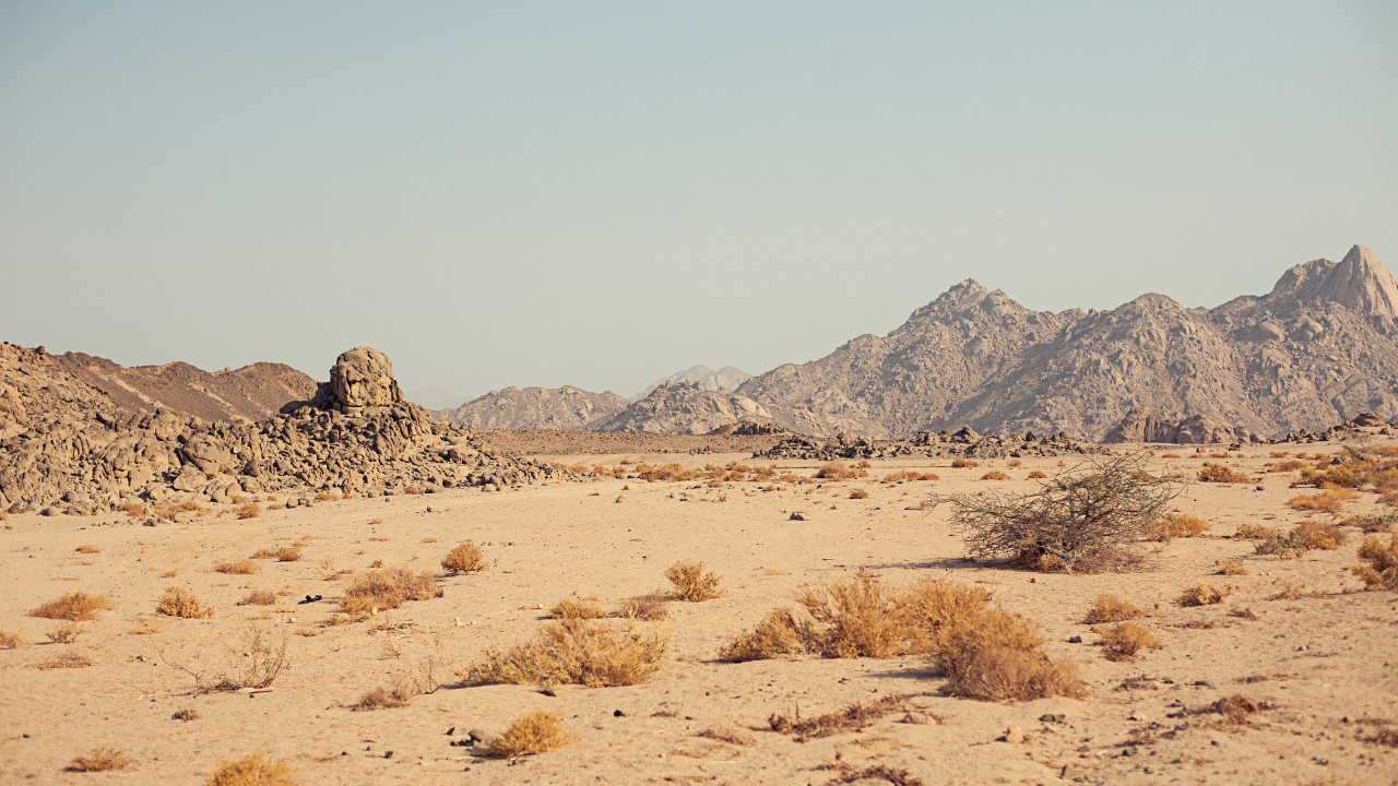 Wide shot of a desert 